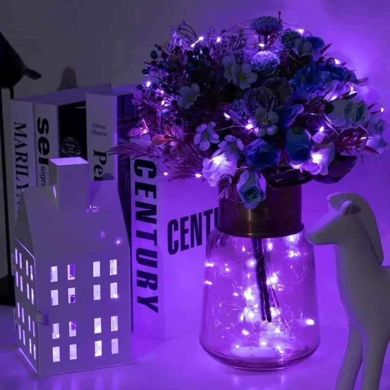Guirlande LED Fil Cuivre Piles Déco Fête