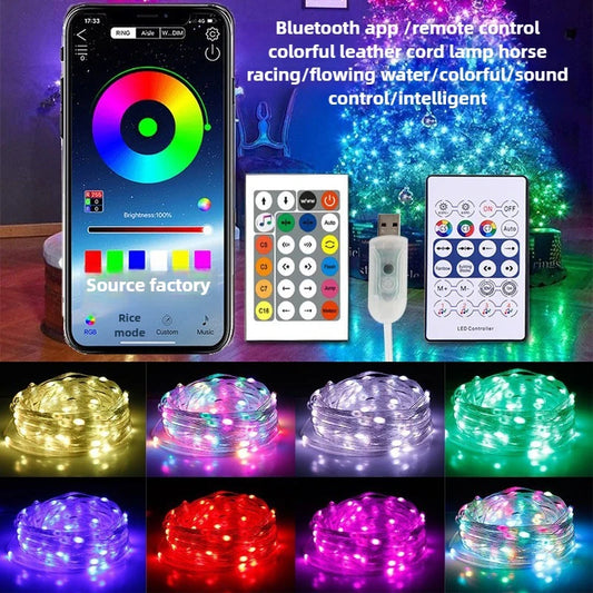 Guirlande LED RGB Bluetooth Fil Cuivre Fête